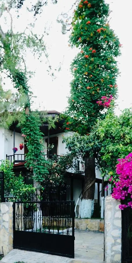 Mona Apart Akyaka Apart otel Akyaka   Akyaka (Mugla)